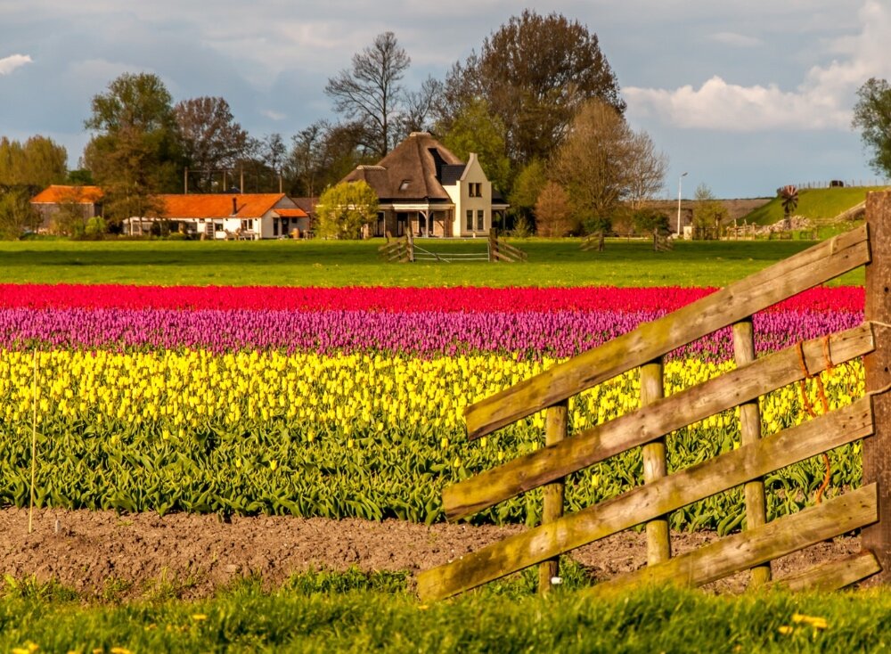 Foto's Oosterleek & Omgeving